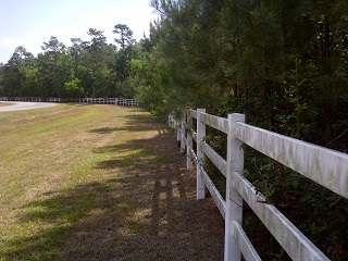 Moldy fence before pressure washing