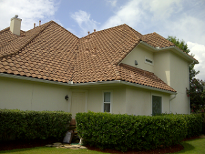 Tile roof after cleaning